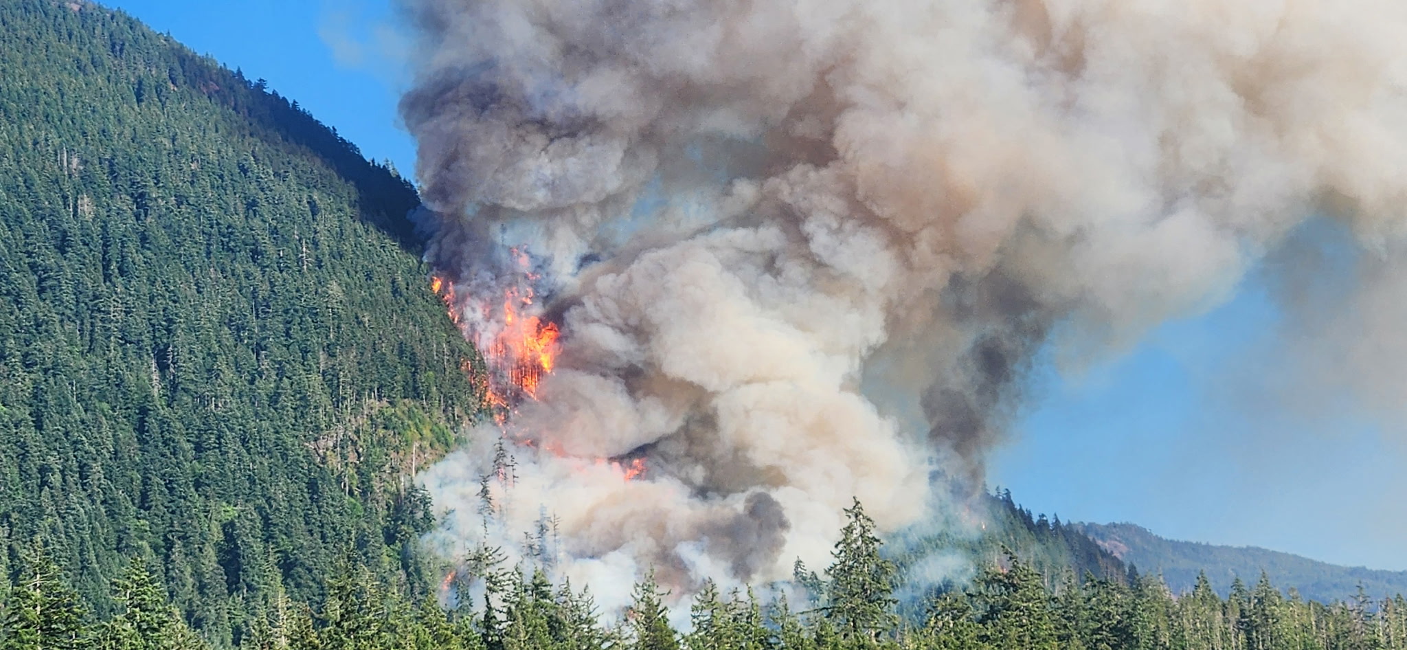 Additional view of Mount Underwood wildfire V71498 on August 11, 2025